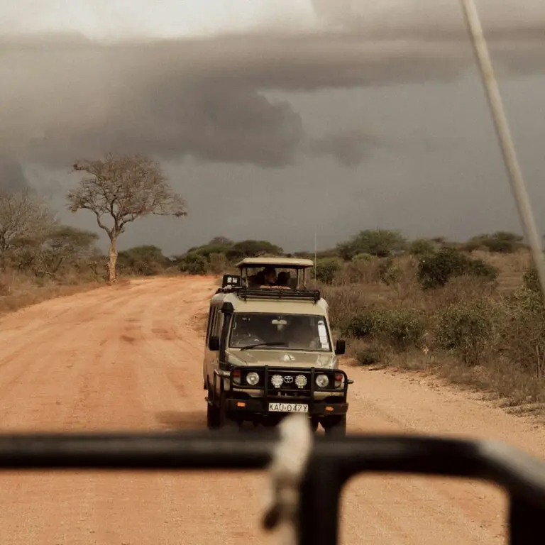 giusi borrasi xlqcl5no0sm unsplash