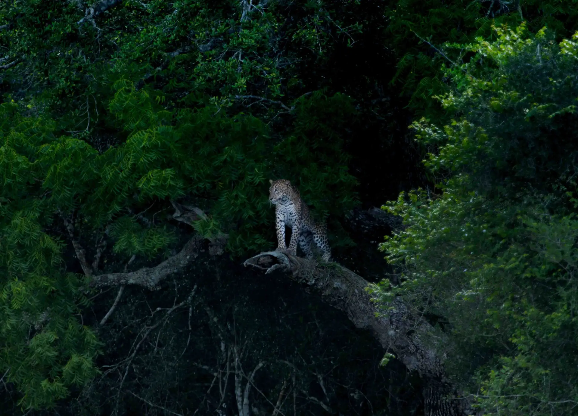 img 9463 enhanced nr 3